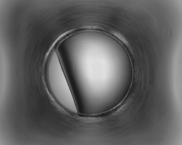 X0000085300984200703091428