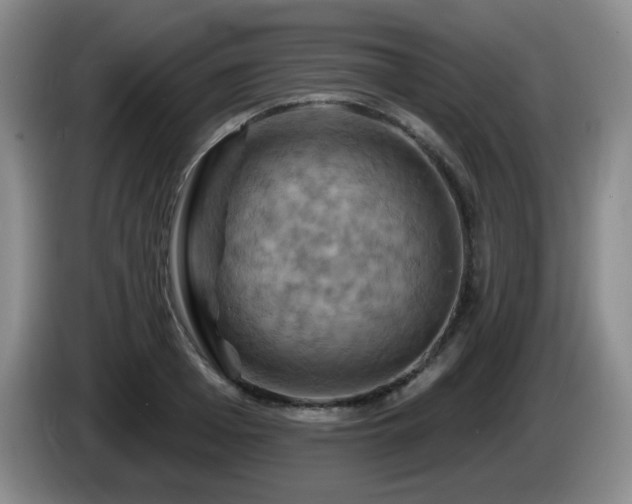 X0000085300985200703091428