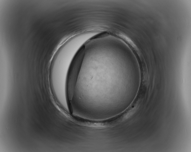 X0000085300986200703091428