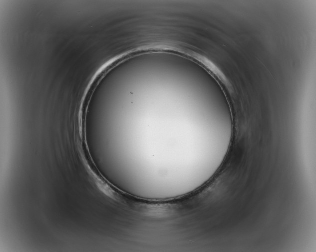 X0000085300988200703091428