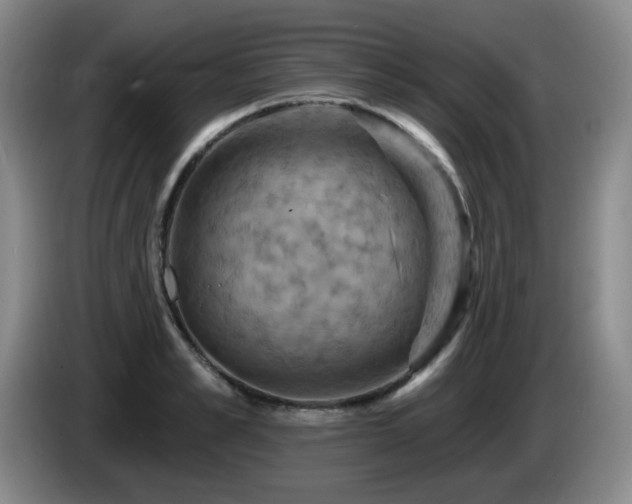 X0000085300989200703091428