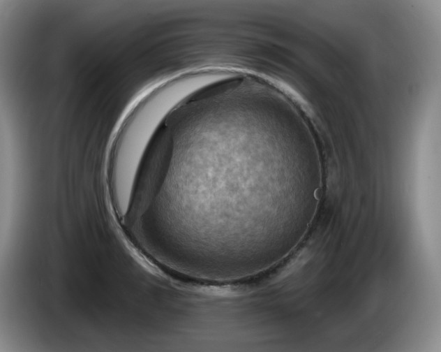 X0000085300990200703091428