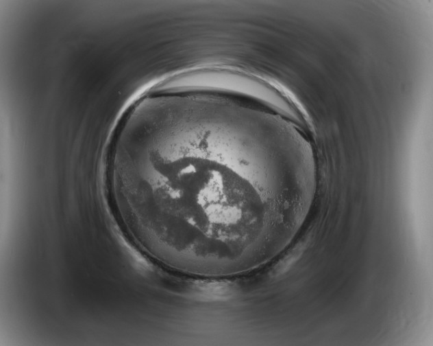 X0000085300991200703091428