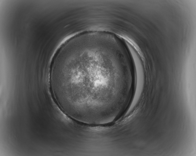 X0000085300992200703091428