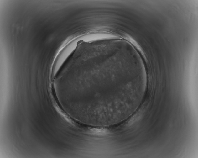 X0000085300994200703091428