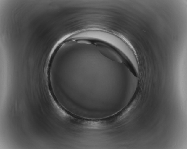 X0000085300995200703091428