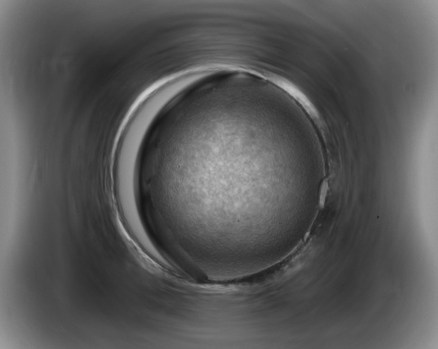 X0000085300996200703091428