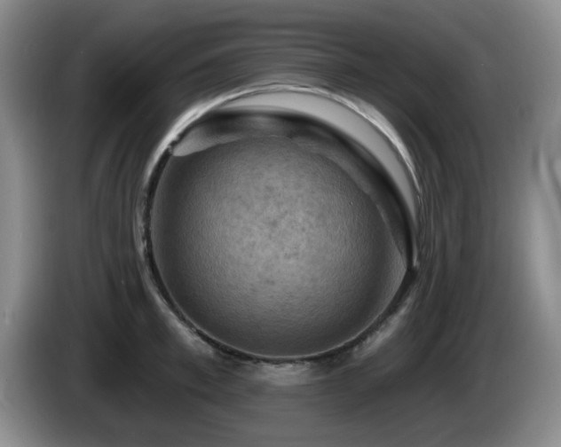 X0000085300997200703091428