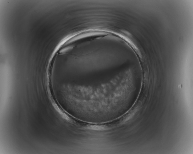 X0000085300998200703091428