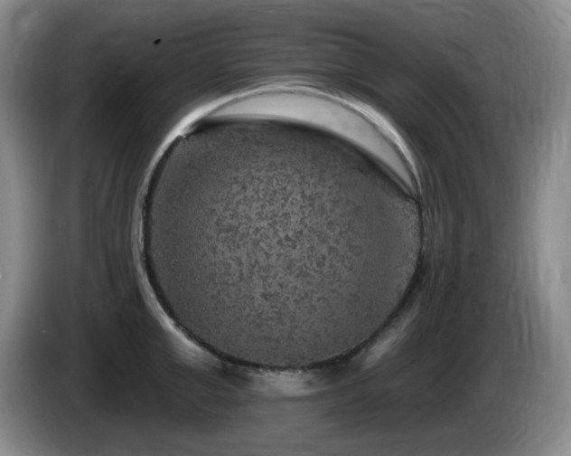 X0000085300999200703091428