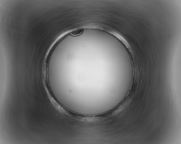 X0000085301000200703091428