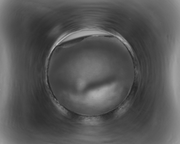 X0000085301002200703091428