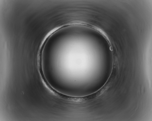 X0000085301003200703091428