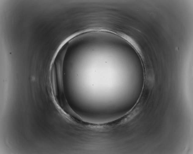 X0000085301004200703091428