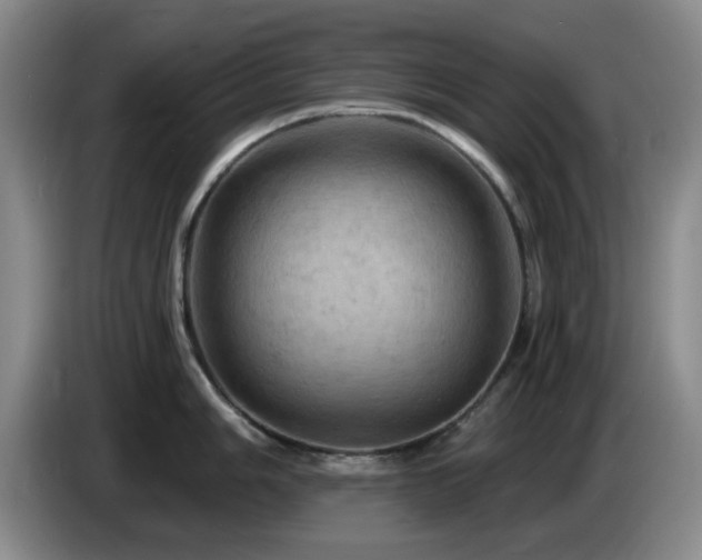 X0000085301006200703091428