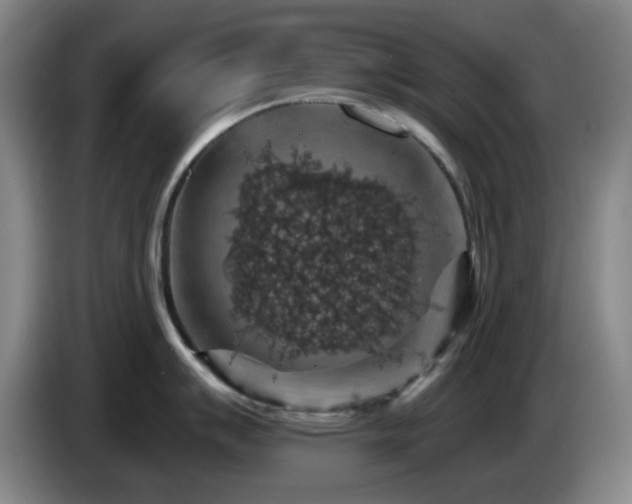 X0000085301007200703091428