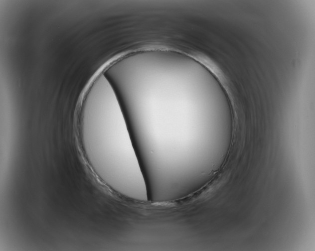 X0000085301008200703091428