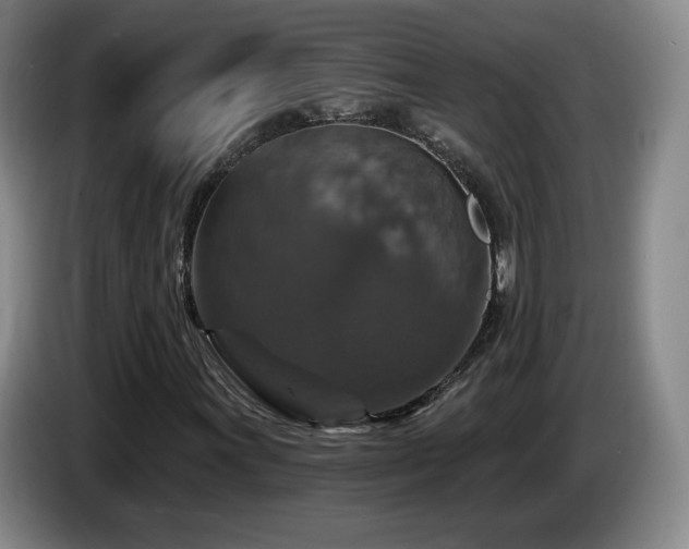 X0000085301011200703091427