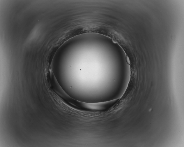 X0000085301012200703091427