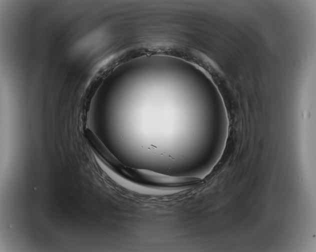 X0000085301016200703091427