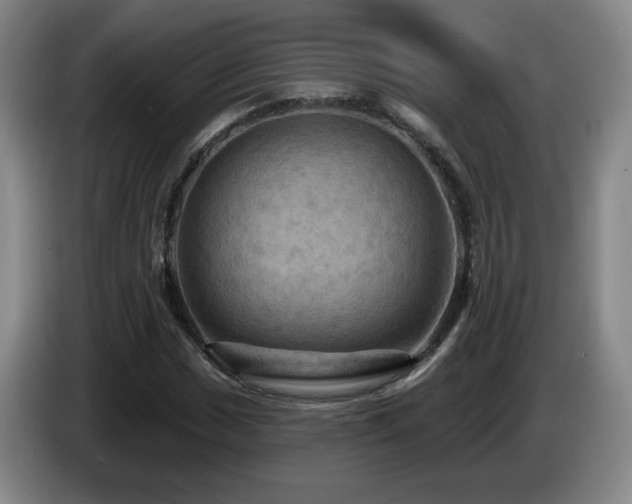 X0000085301017200703091427