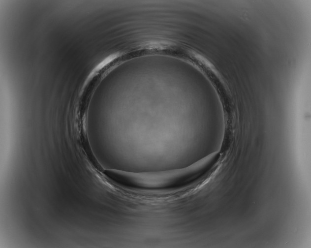 X0000085301018200703091427