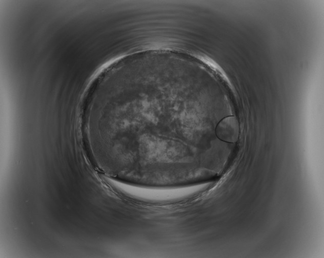 X0000085301019200703091427