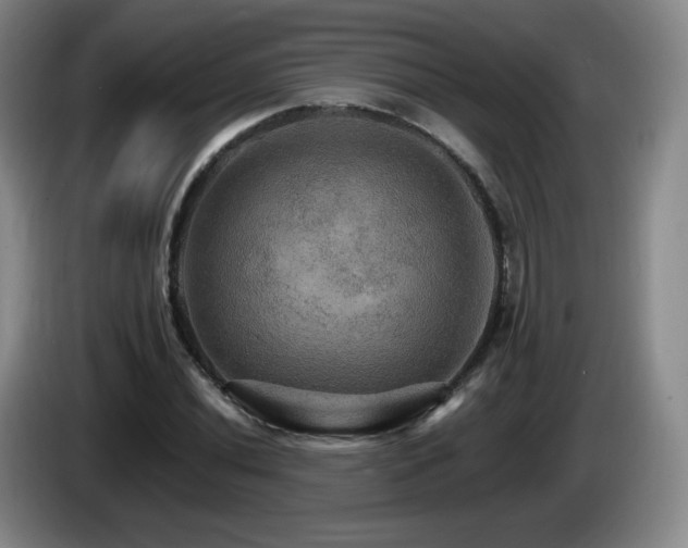 X0000085301020200703091427