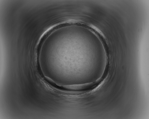 X0000085301021200703091427