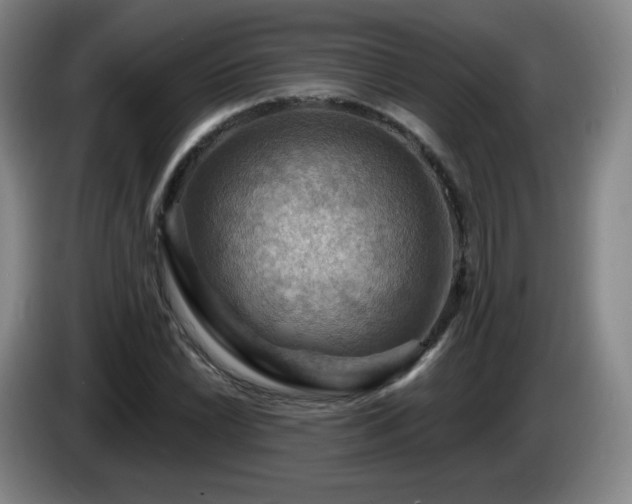 X0000085301022200703091427