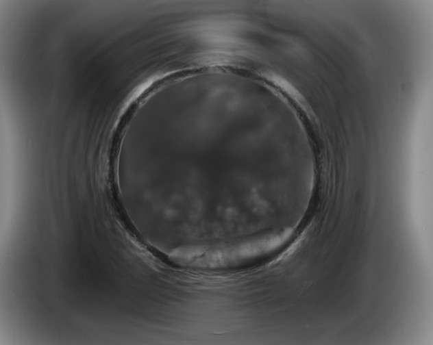 X0000085301023200703091427