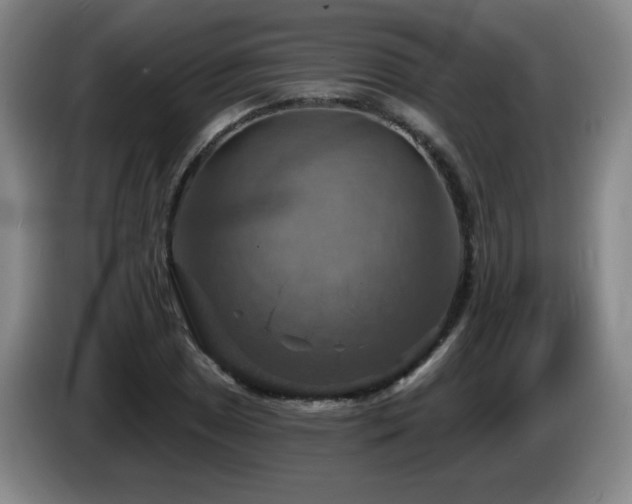 X0000085301025200703091427