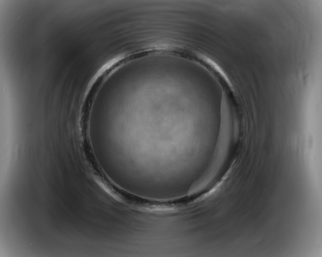 X0000085301026200703091427