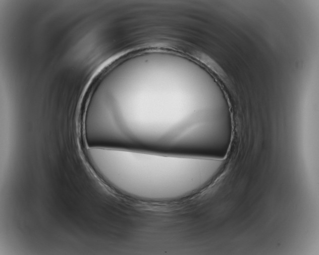 X0000085301028200703091427