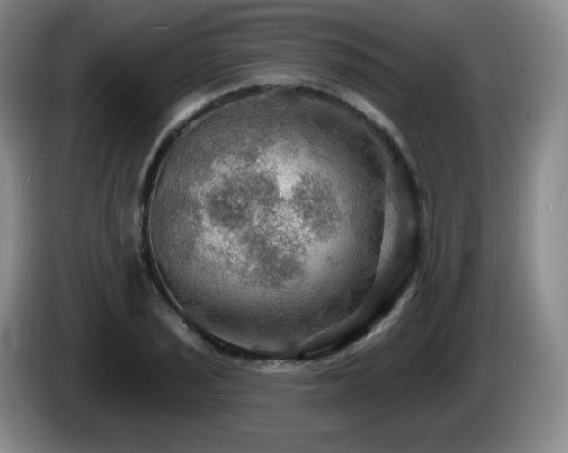 X0000085301029200703091427