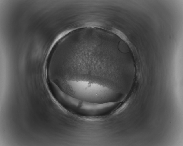 X0000085301032200703091427