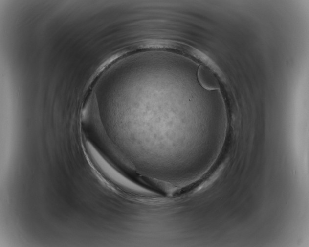 X0000085301033200703091427