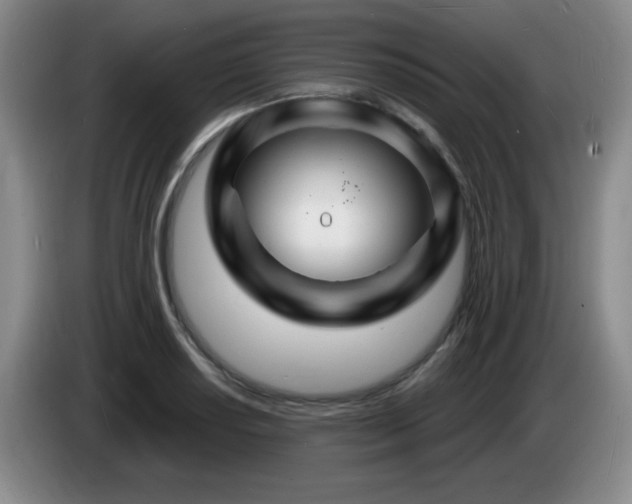 X0000085301034200703091427