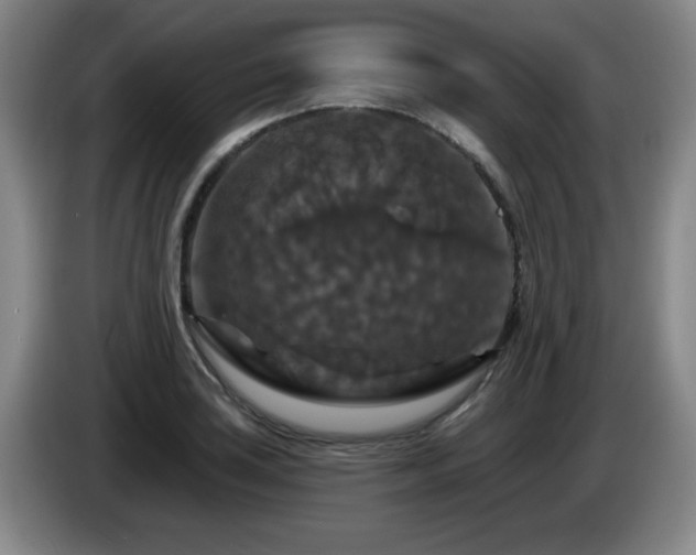 X0000085301035200703091427