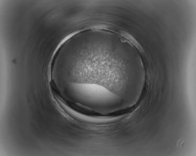 X0000085301036200703091427