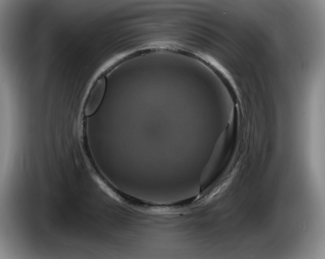 X0000085301037200703091427