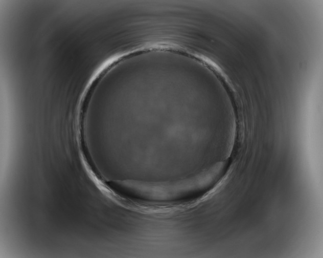 X0000085301038200703091427