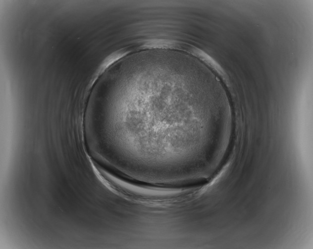 X0000085301041200703091427