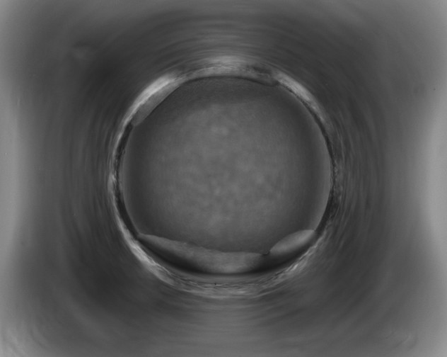 X0000085301042200703091427