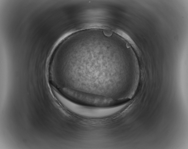 X0000085301043200703091427