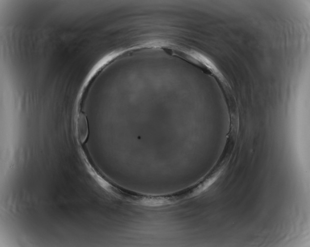 X0000085301046200703091427