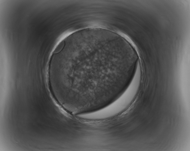 X0000085301048200703091427