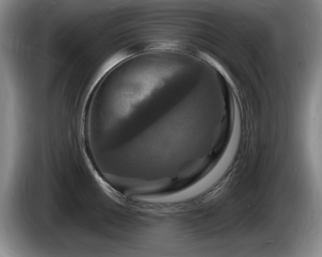 X0000085301050200703091428