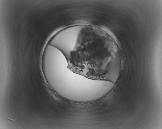 X0000085301051200703091428