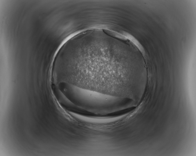 X0000085301052200703091428